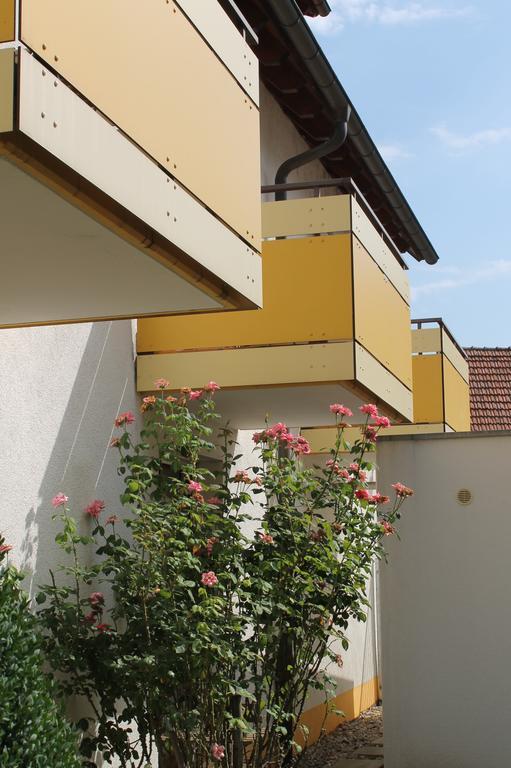 Hirschengarten Hotel Freiburg im Breisgau Exterior photo